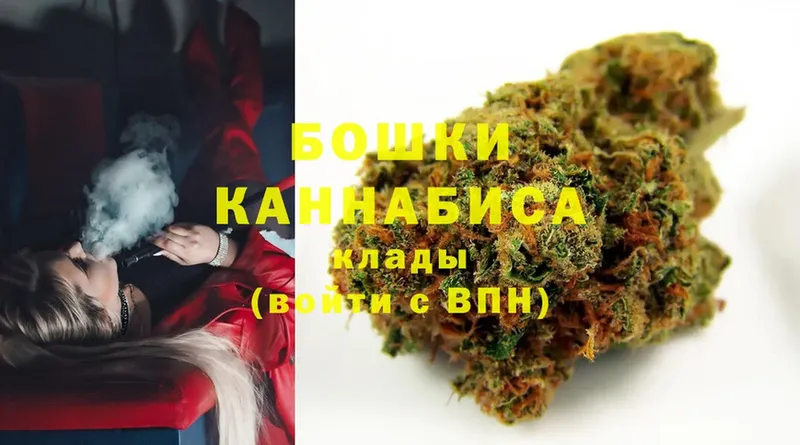 Бошки марихуана SATIVA & INDICA  где купить наркотик  mega ССЫЛКА  Шелехов 